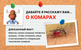 Если вас когда-нибудь кусал комар, то это была самка Если вас когда-нибудь кусал комар, то это была самка
