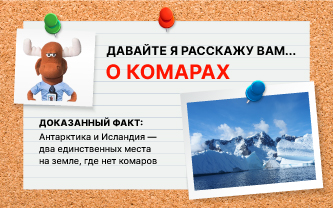 Ничто не мешает комару выследить обед Ничто не мешает комару выследить обед