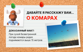 На какой высоте летают комары? На какой высоте летают комары?