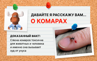 Когда самка комара прокалывает вашу кожу Когда самка комара прокалывает вашу кожу