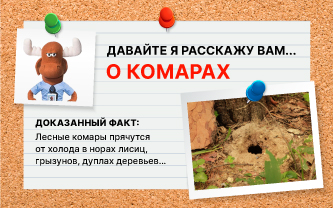 Где зимуют комары Где зимуют комары