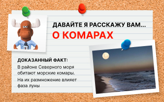 Влияет ли фаза луны на комаров? Влияет ли фаза луны на комаров?