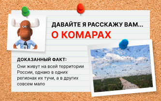 Какую погоду предпочитает комар? Какую погоду предпочитает комар?